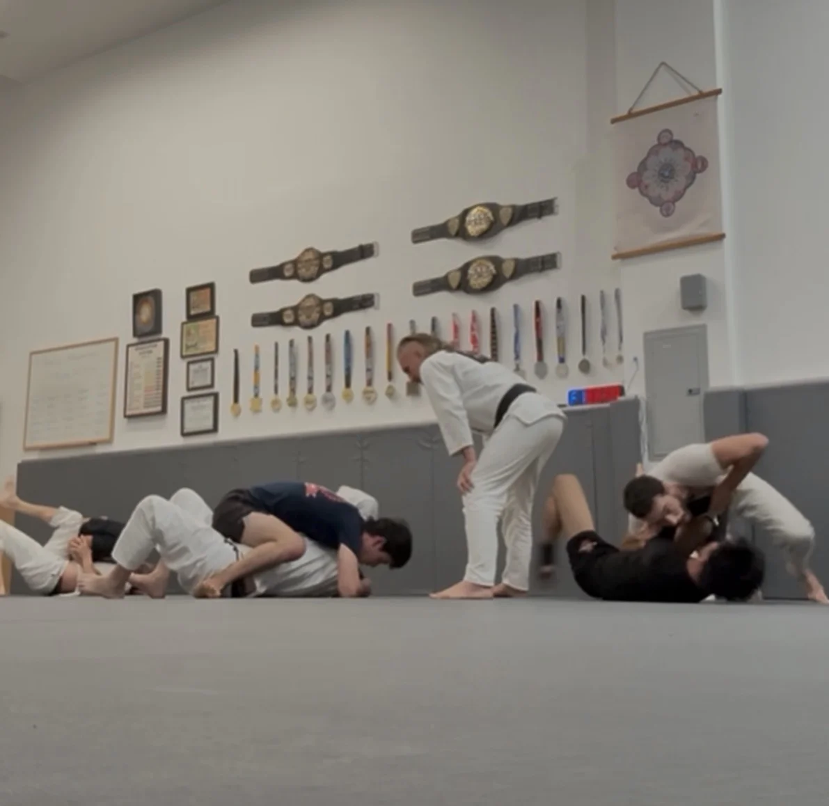 Malibu Jiu-Jitsu visual