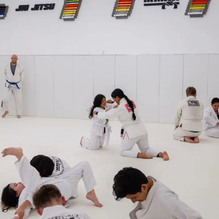 Marcellini's Martial Arts Academy facility image
