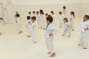 Marcellini's Martial Arts Academy facility image