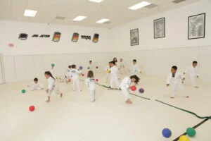 Marcellini's Martial Arts Academy facility image