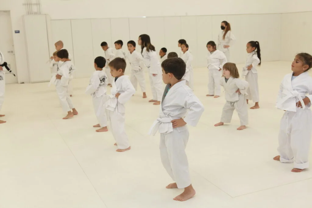 Marcellini's Martial Arts Academy facility image
