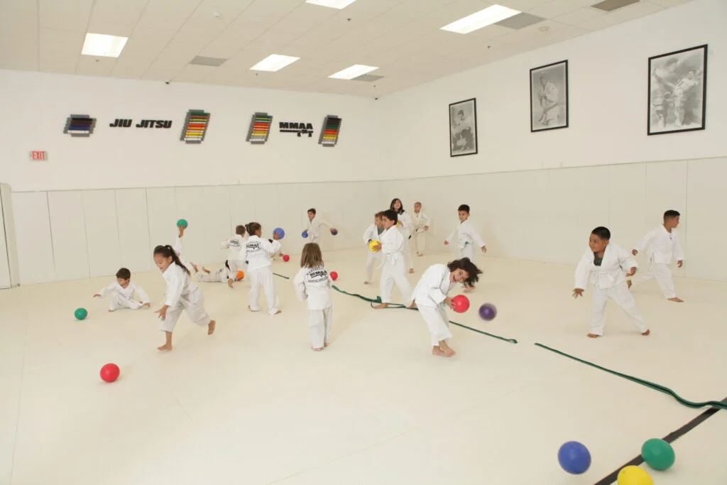 Marcellini's Martial Arts Academy facility image