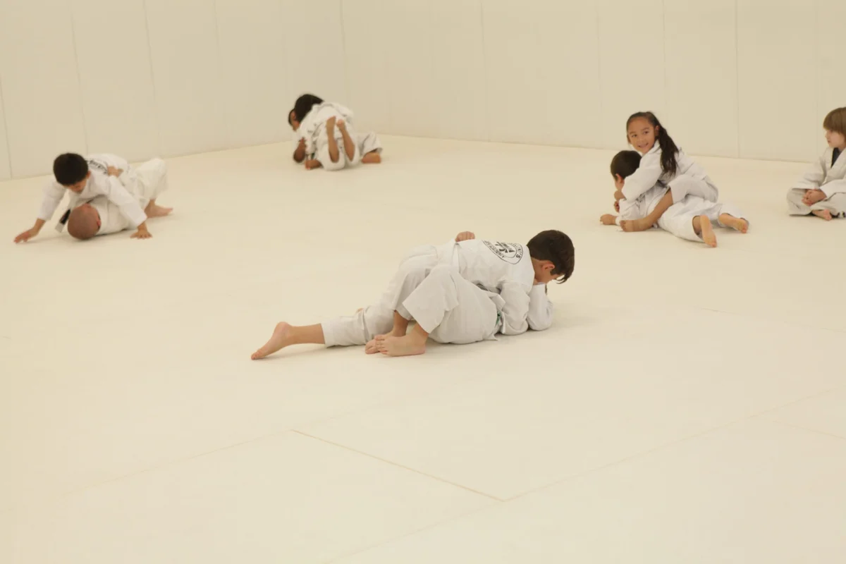 Marcellini's Martial Arts Academy facility image