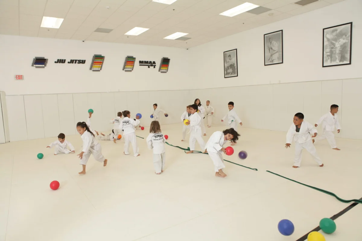 Marcellini's Martial Arts Academy facility image