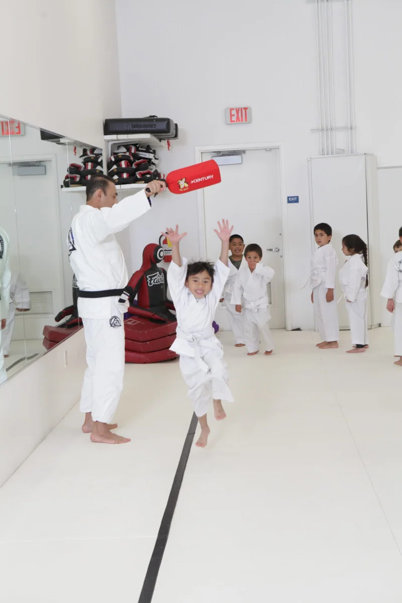 Marcellini's Martial Arts Academy facility image