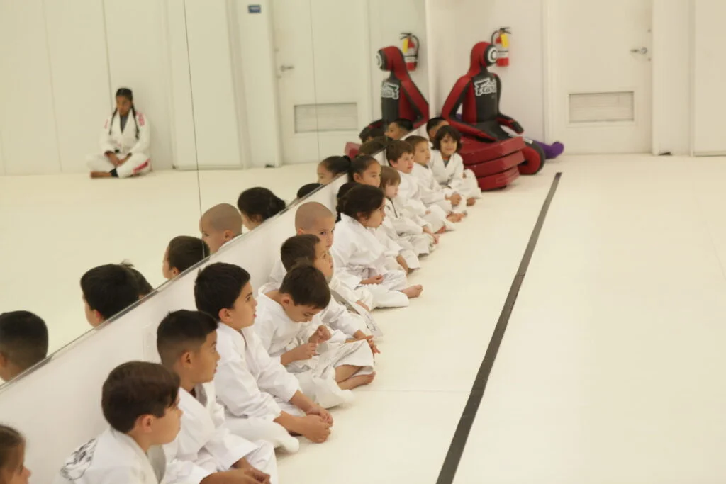 Marcellini's Martial Arts Academy facility image