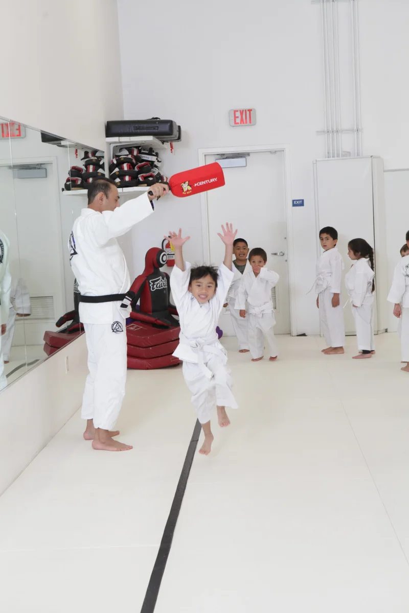 Marcellini's Martial Arts Academy facility image