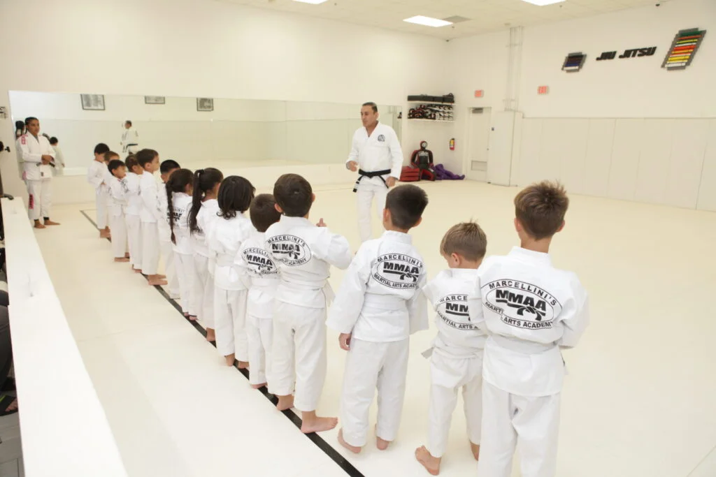 Marcellini's Martial Arts Academy facility image
