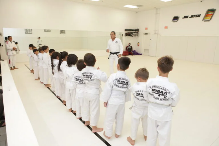 Marcellini's Martial Arts Academy facility image