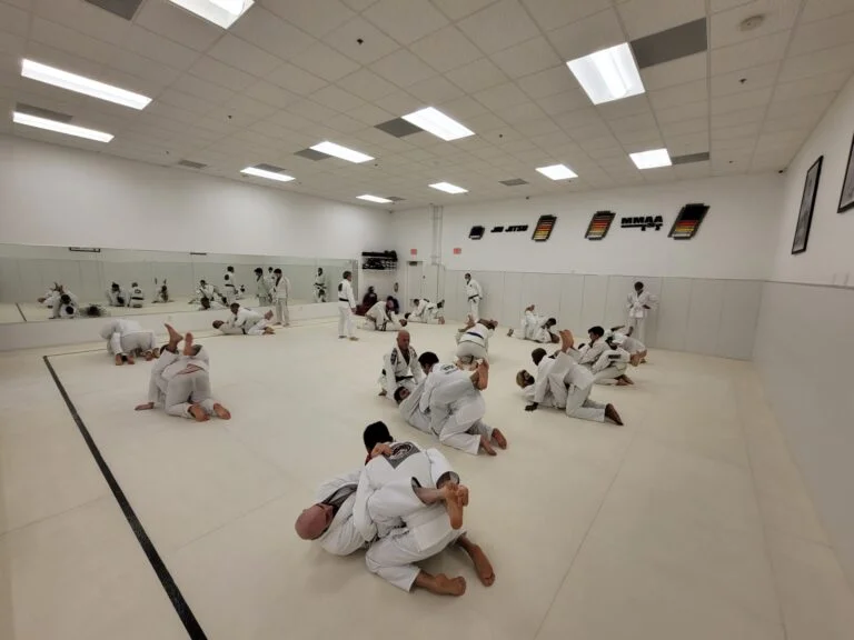 Marcellini's Martial Arts Academy facility image