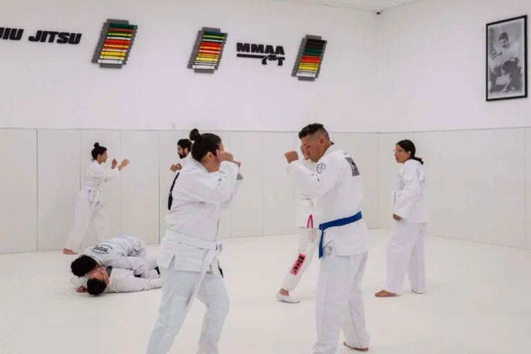 Marcellini's Martial Arts Academy academy logo