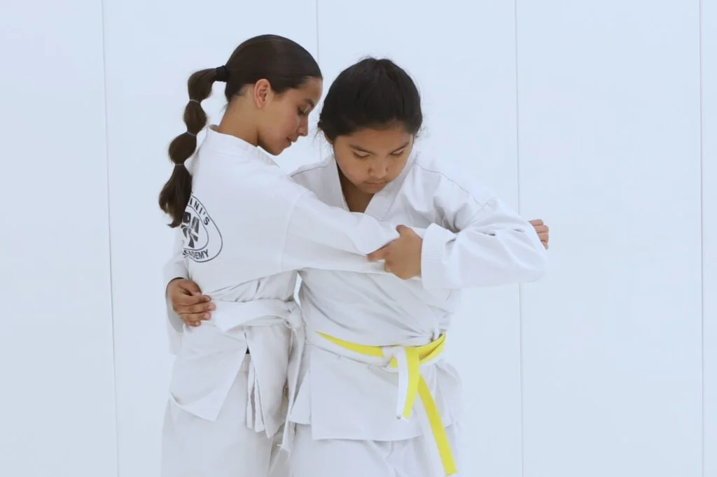 Marcellini's Martial Arts Academy facility image