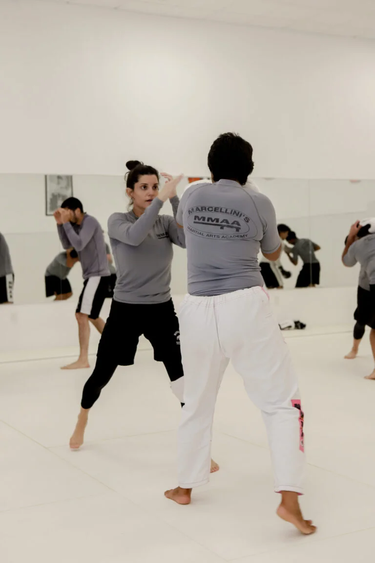 Marcellini's Martial Arts Academy facility image