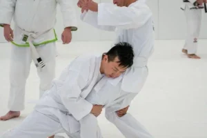 Marcellini's Martial Arts Academy facility image