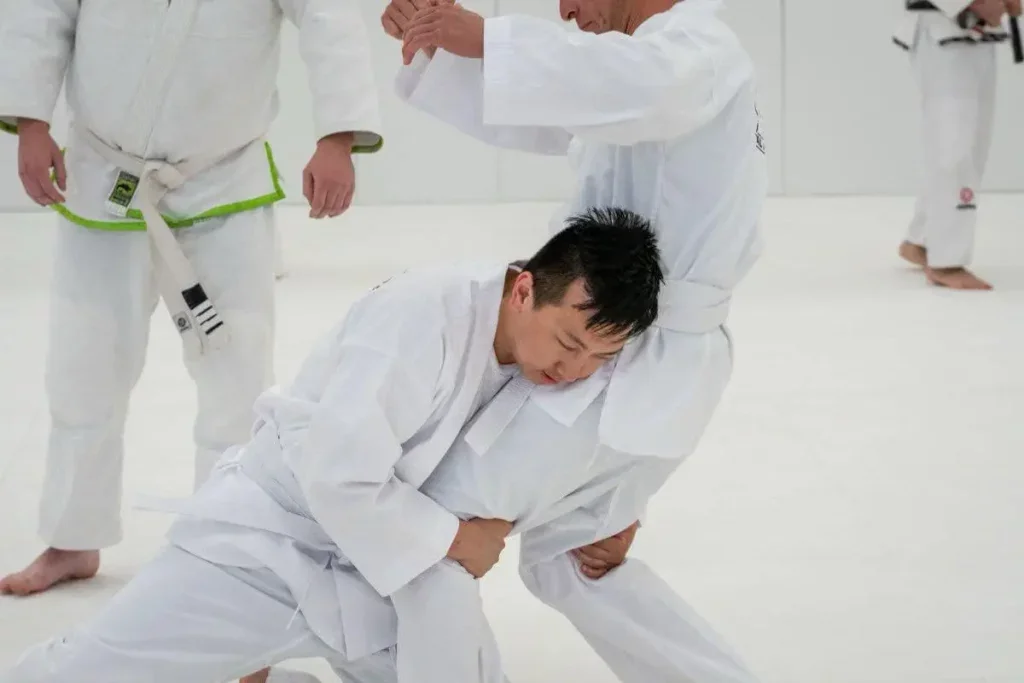 Marcellini's Martial Arts Academy facility image