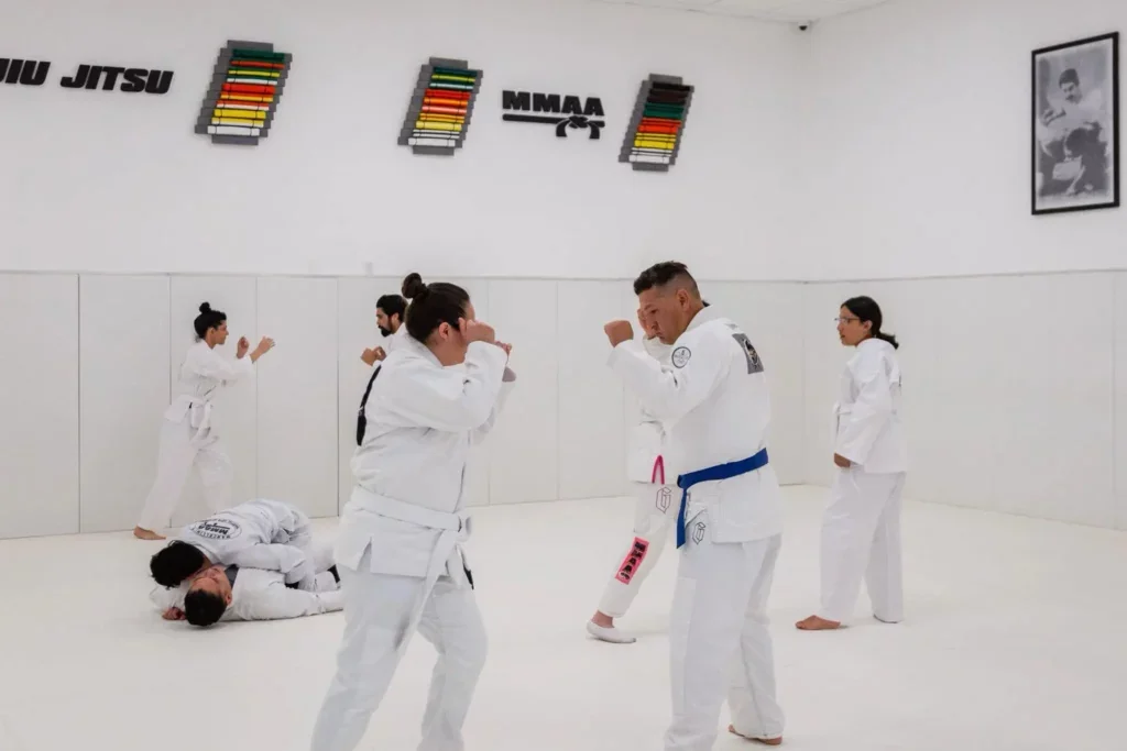 Marcellini's Martial Arts Academy facility image