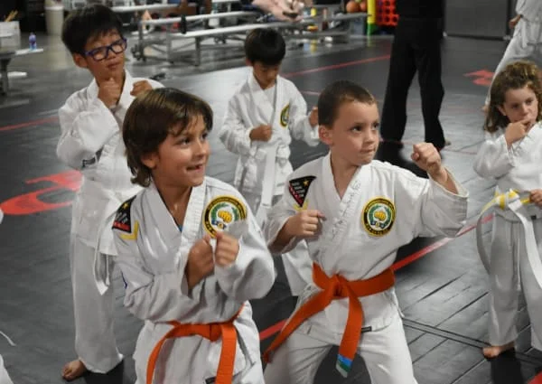 Peak Performance Martial Arts facility image
