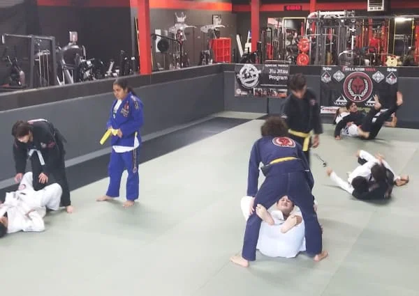 Mauricio Alonso BJJ visual
