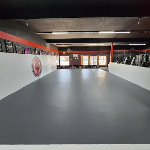 Mauricio Alonso BJJ academy photo