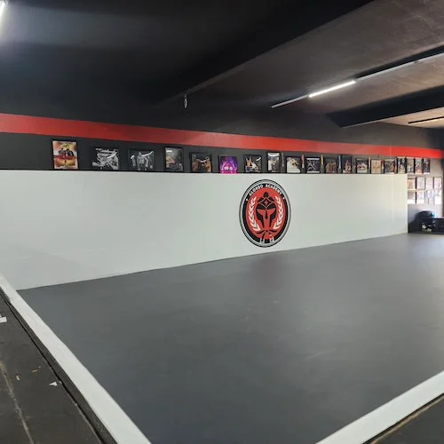 Mauricio Alonso BJJ academy photo