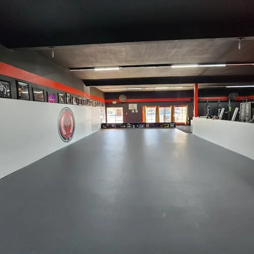 Mauricio Alonso BJJ academy photo
