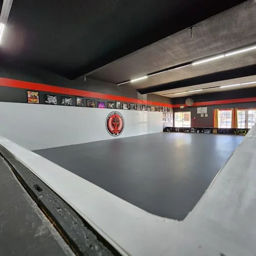 Mauricio Alonso BJJ academy photo
