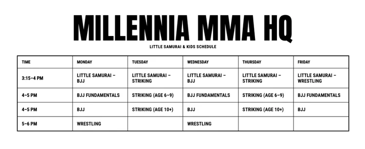 Millennia MMA - Chino Hills academy photo
