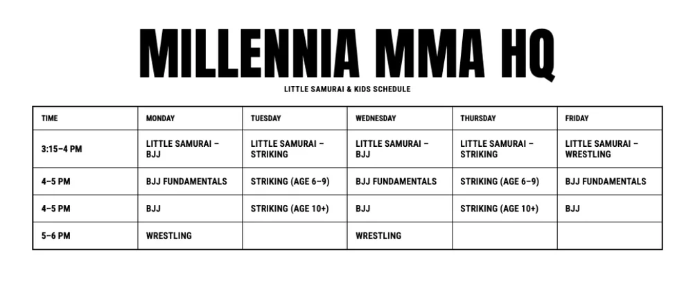 Millennia MMA - Chino Hills academy photo