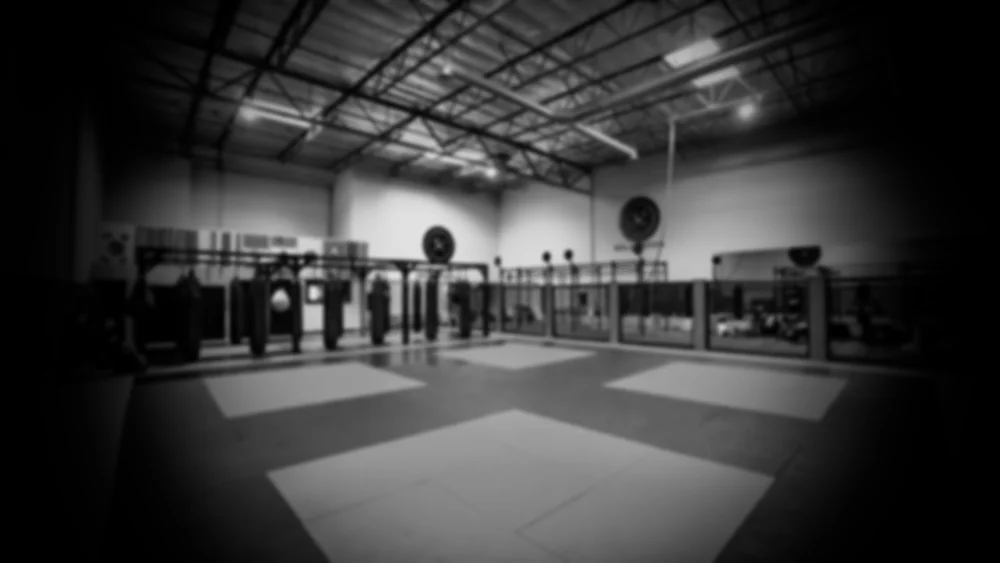 Millennia MMA academy photo