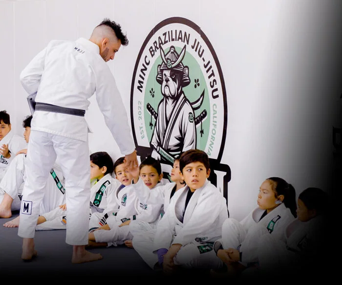 MBJJ - Minc Brazilian Jiu-Jitsu academy photo