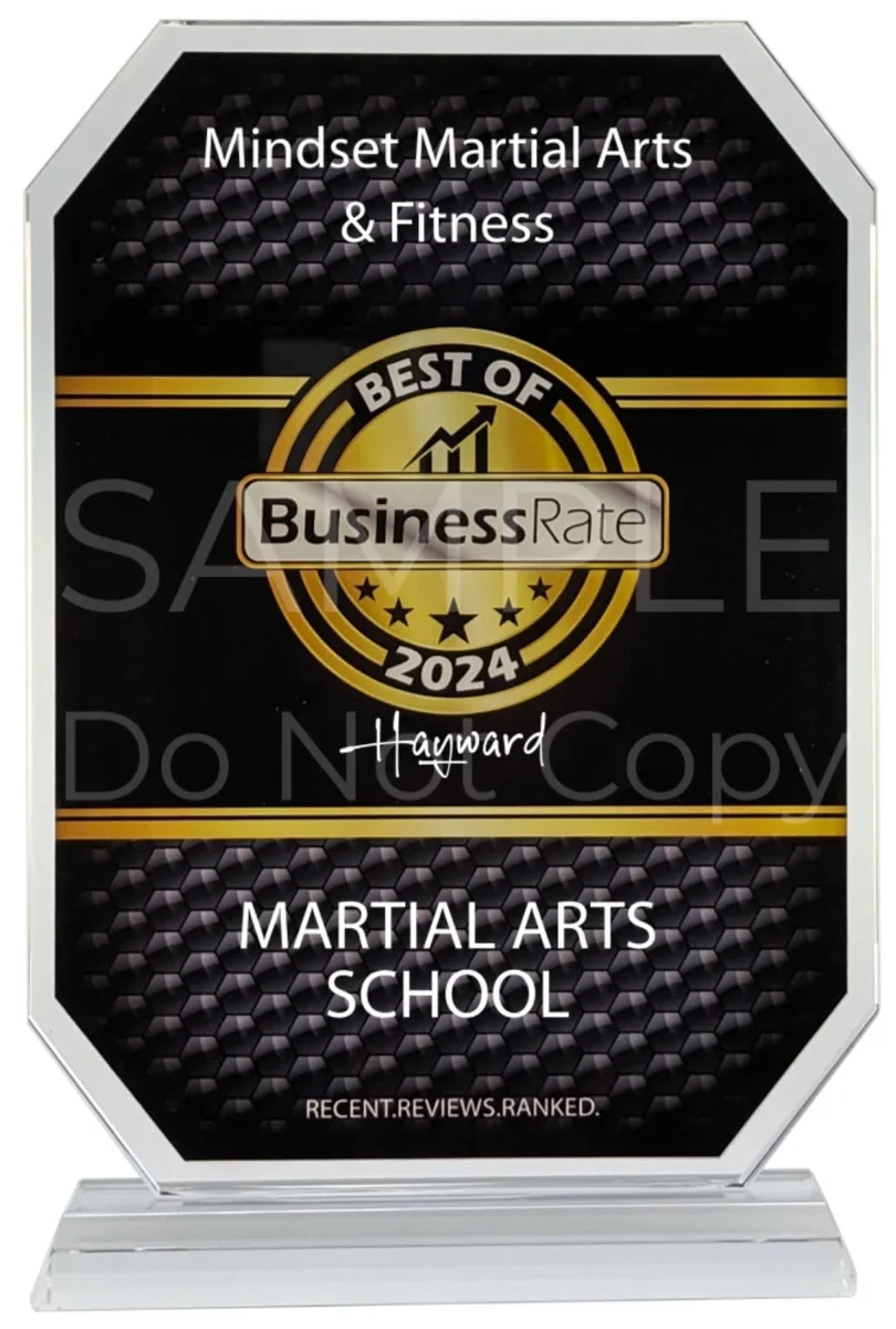 Mindset Martial Arts & Fitness academy photo