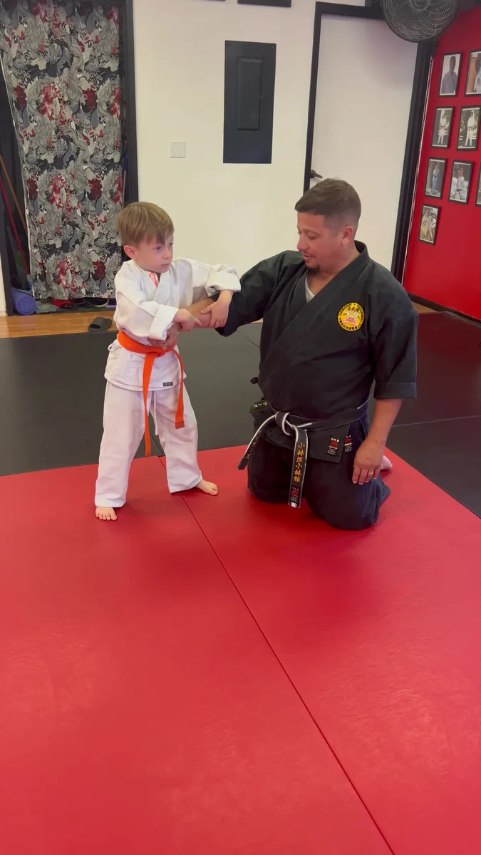 Mires Martial Arts visual
