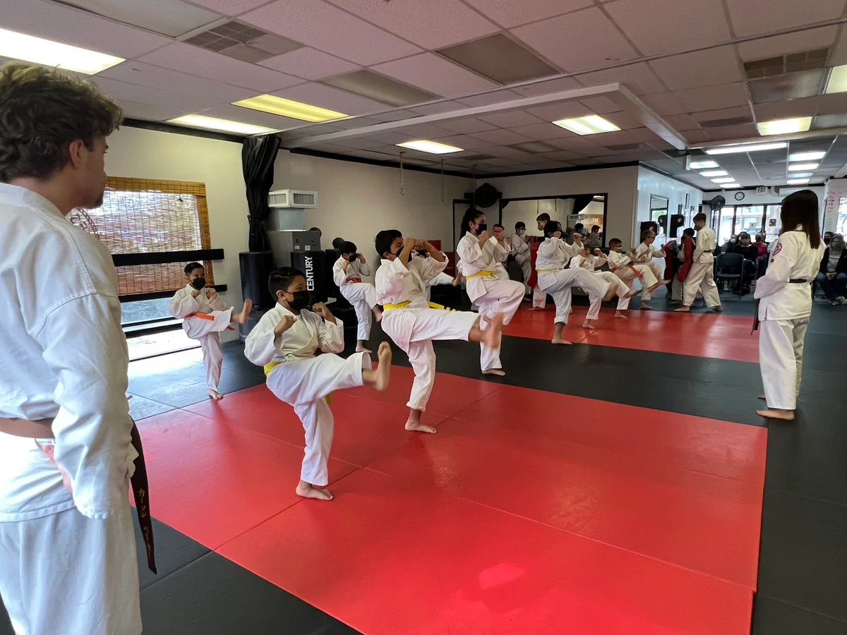 Mires Martial Arts academy photo