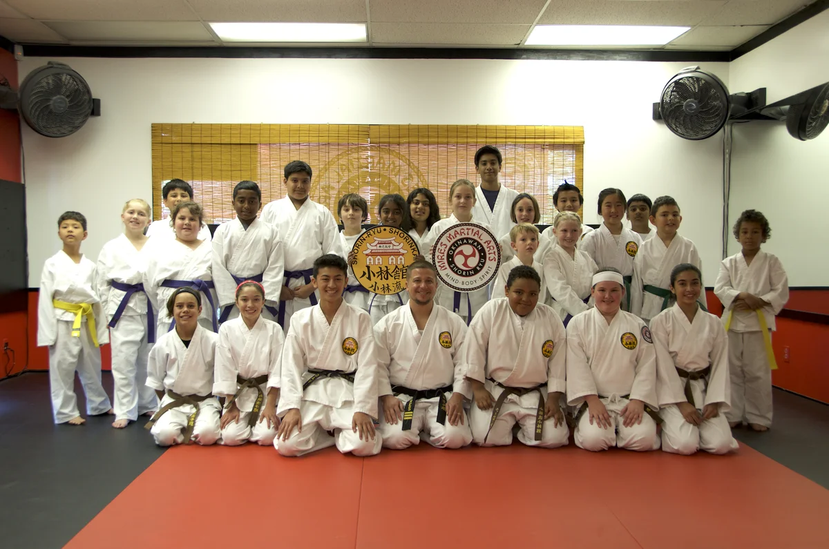 Mires Martial Arts academy photo