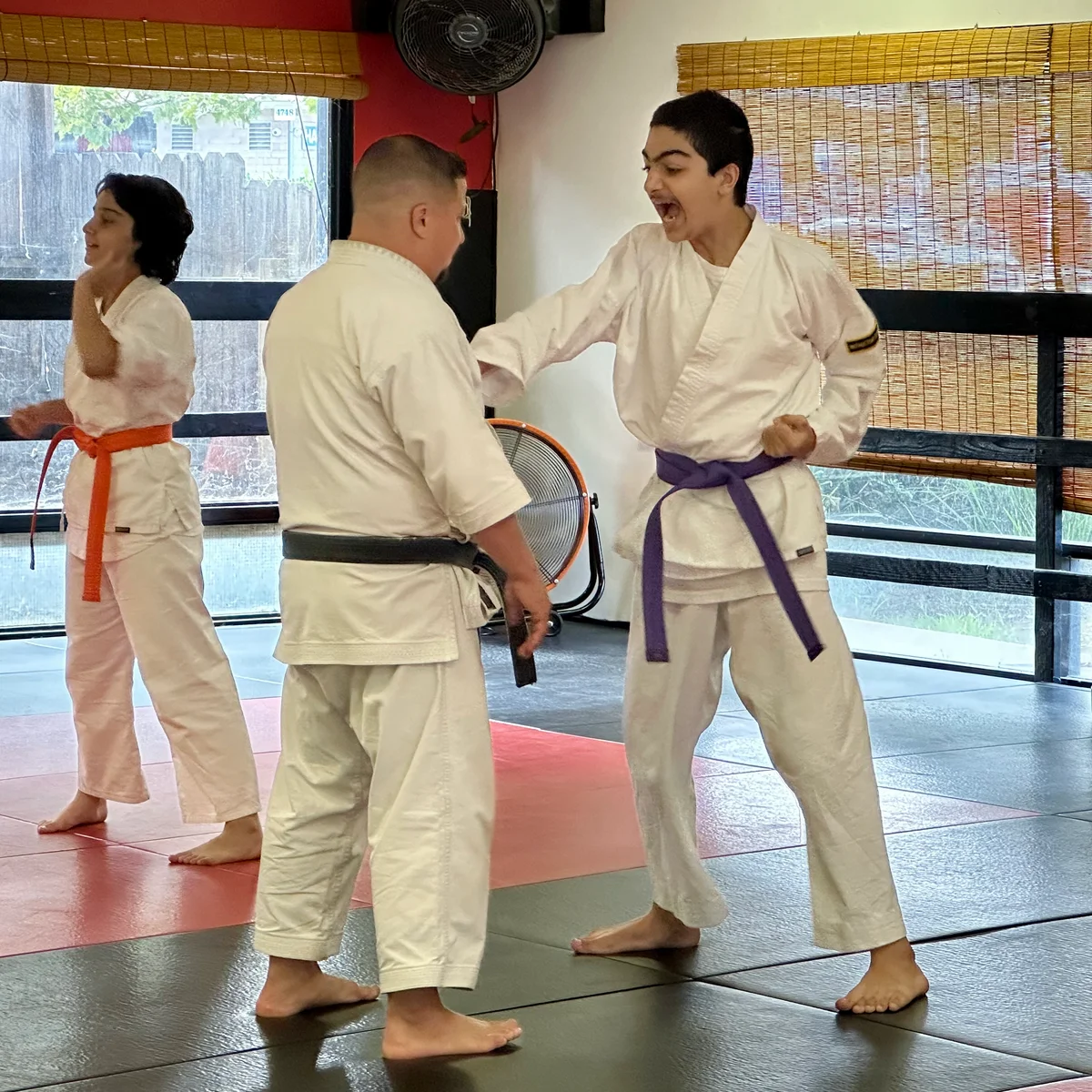 Mires Martial Arts academy photo