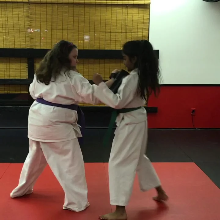 Mires Martial Arts academy photo