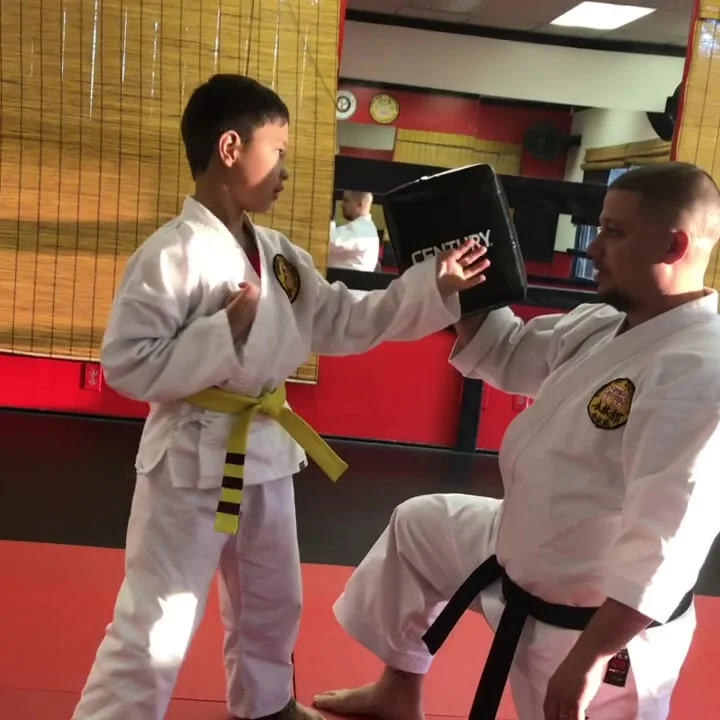 Mires Martial Arts academy photo