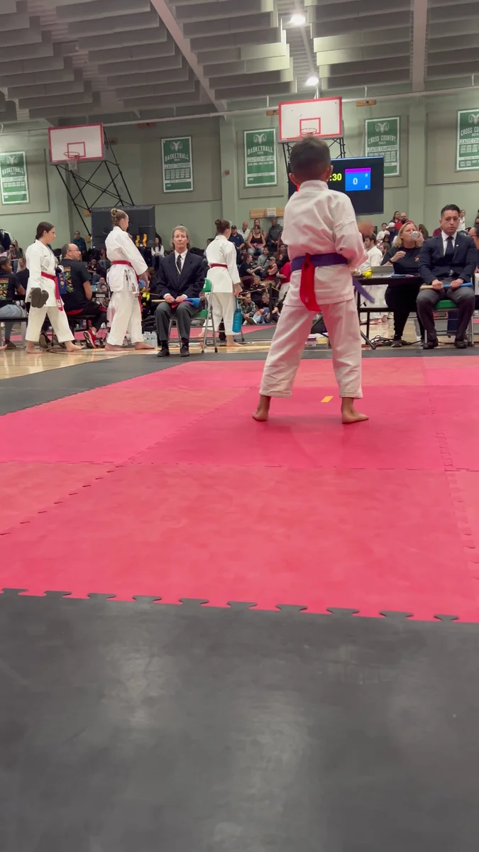 Mires Martial Arts academy photo