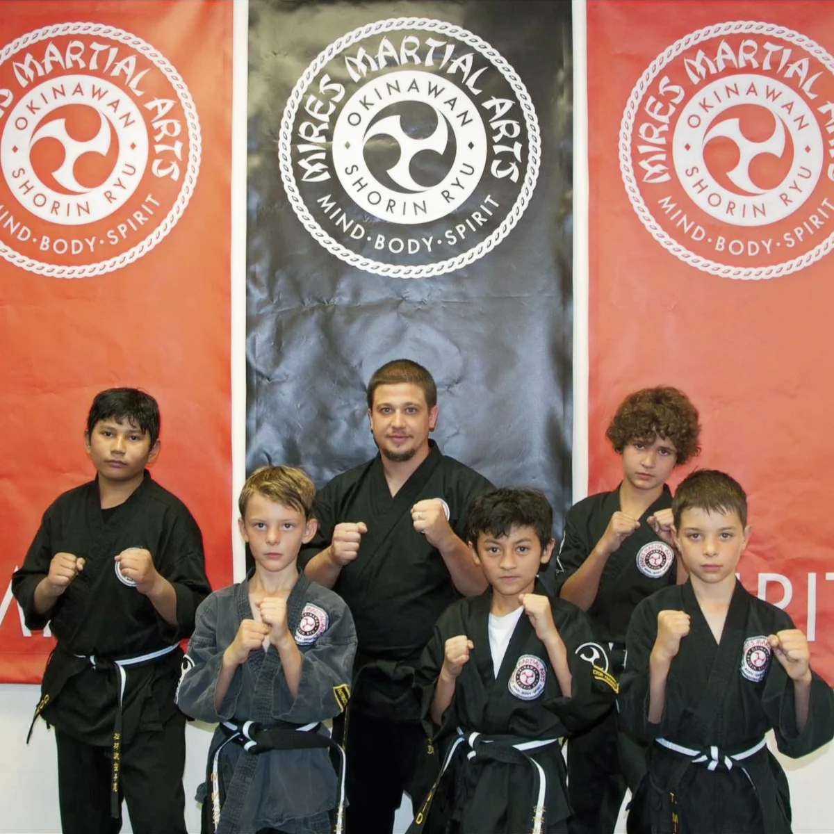 Mires Martial Arts academy photo