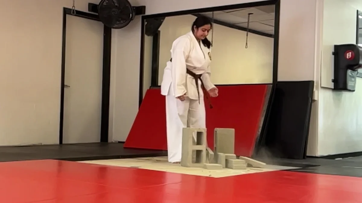 Mires Martial Arts academy photo