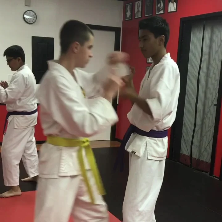 Mires Martial Arts academy photo