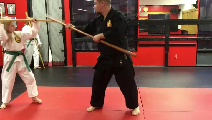 Mires Martial Arts academy photo