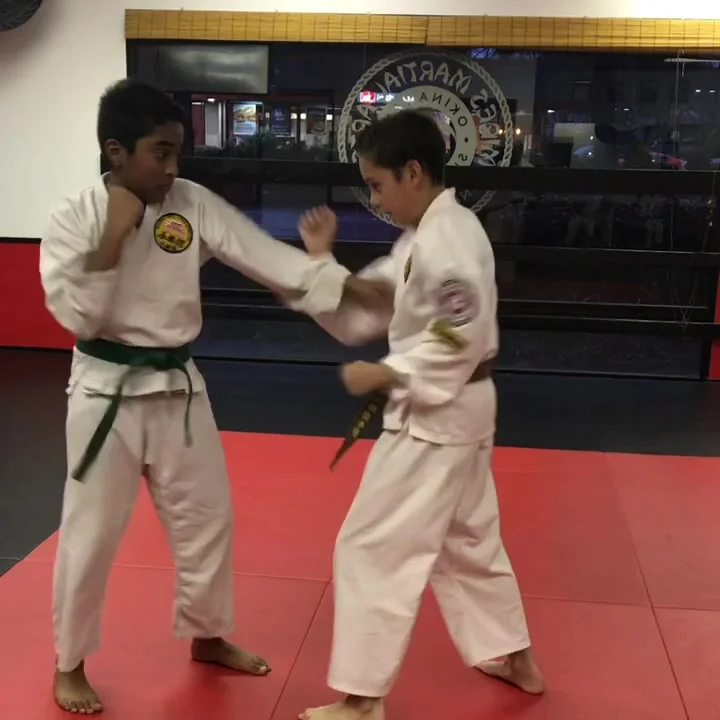 Mires Martial Arts academy photo