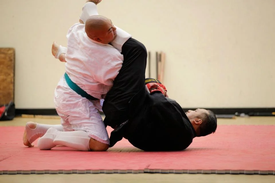 Mixed Combative Systems academy photo