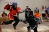 Mixed Combative Systems academy photo
