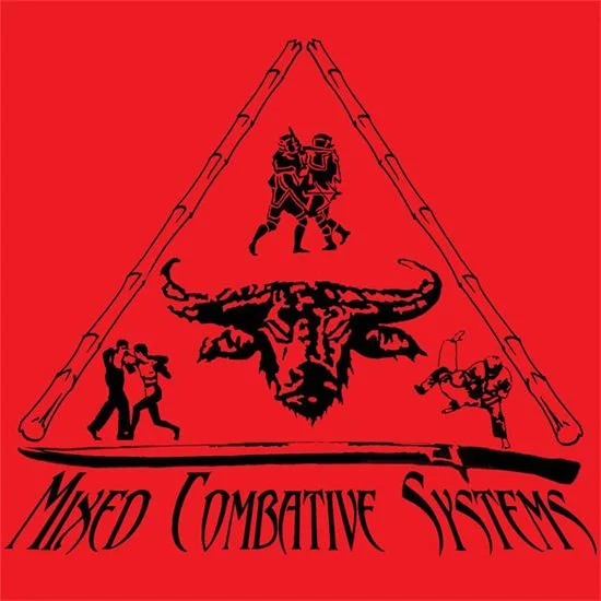 Mixed Combative Systems academy photo