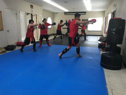 Mixed Combative Systems academy photo