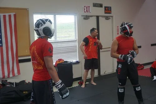 Mixed Combative Systems academy photo