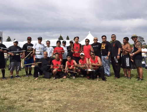 Mixed Combative Systems academy photo