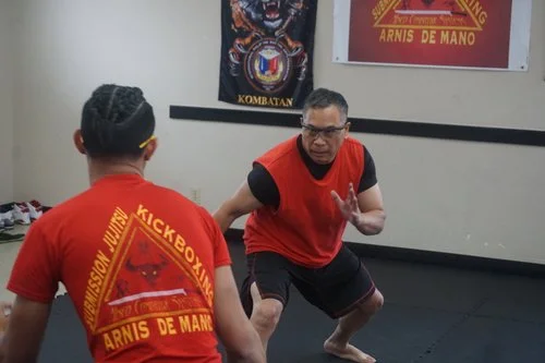 Mixed Combative Systems academy photo
